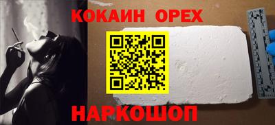 крисы Шелехов