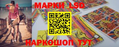 крисы Шелехов