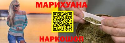 крисы Шелехов