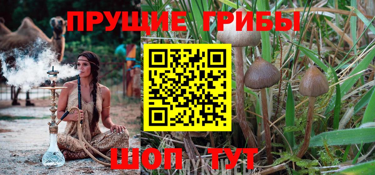 Галлюциногенные грибы мухоморы  Галлюциногенные грибы Psilocybe  Вход с VPN  Мариинск 